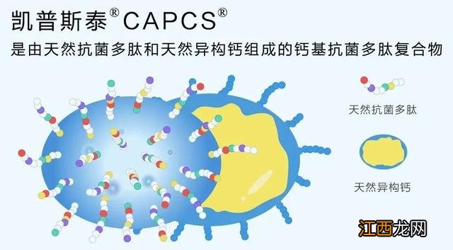 脱氧核糖核苷酸是DNA吗