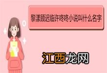 黎漾顾迟临许咚咚小说叫什么名字 《莫待情深迟》简介