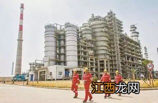 夹克常用什么面料