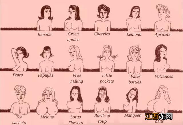 南天湖海拔高度为多少