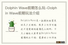 Dolphin Wave前期怎么玩-Dolphin Wave前期玩法介绍