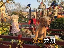 这个世界不看脸连胜有什么病