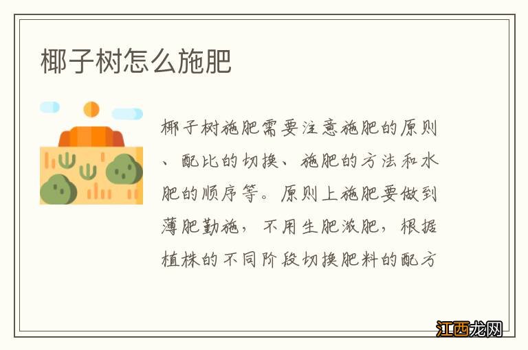 椰子树怎么施肥