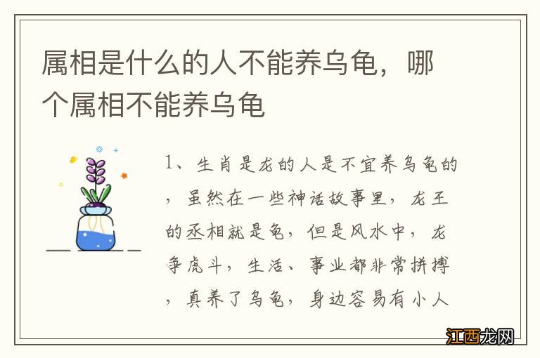 属相是什么的人不能养乌龟，哪个属相不能养乌龟