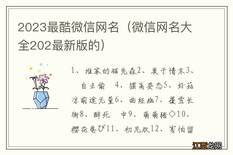 微信网名大全202最新版的 2023最酷微信网名