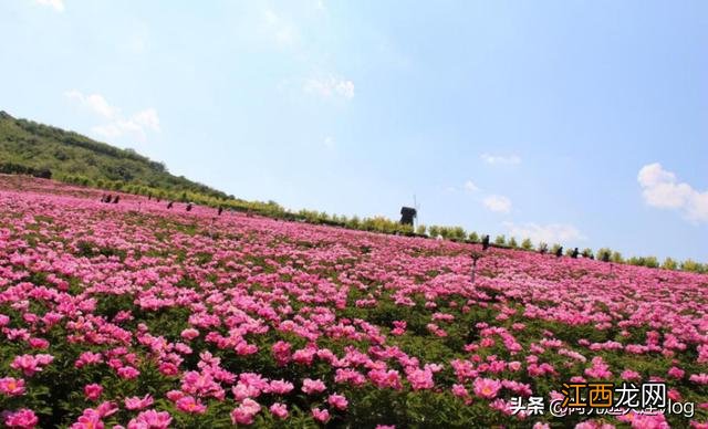 鸡蛋方便面怎么煮