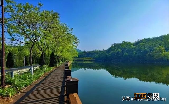 鸡蛋方便面怎么煮