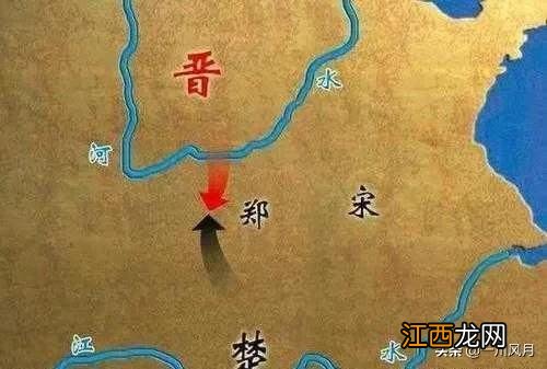 串串狗为什么不值钱