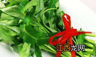 盆栽竹叶菜技巧 盆栽空心菜的种植方法