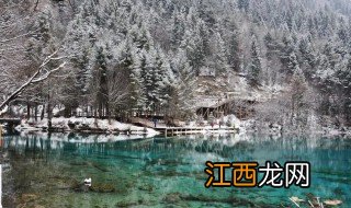 冬天可以去九寨沟旅游吗 冬天去九寨沟旅游攻略