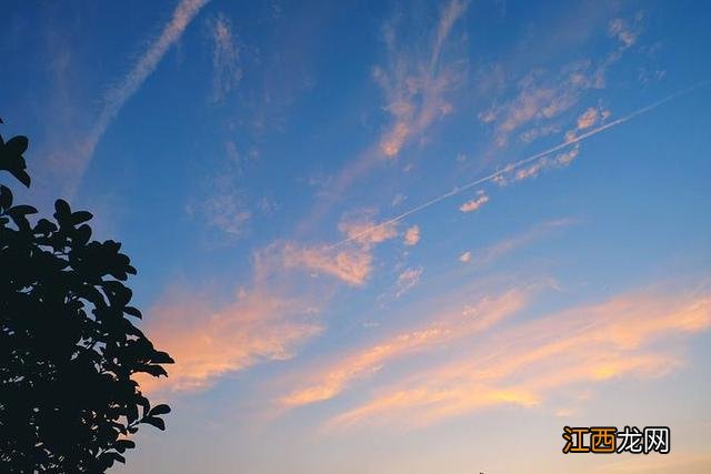 德绒是什么面料生产的