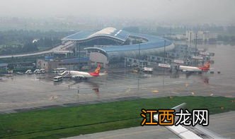 狼聪明到什么程度