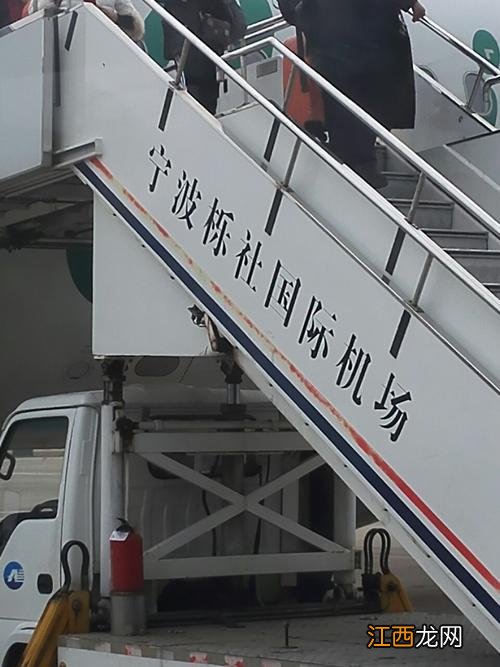 狼聪明到什么程度