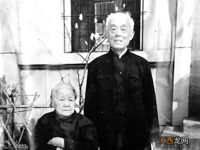 芒果运输到东北冻了还能吃吗