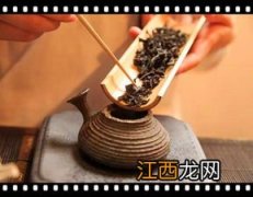 壁虎怎么折 真实