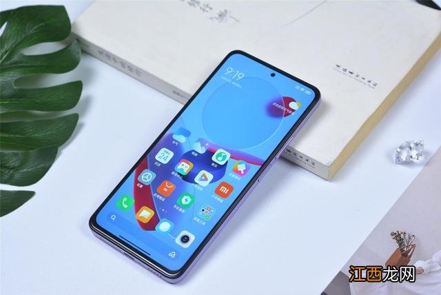 猫咪睡觉打鼾正常吗