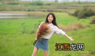 稻丁亚城旅游攻略,亚丁稻城旅游路线