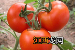 夏季有哪些养生排毒汤？夏季吃哪些食物可以排毒呢？