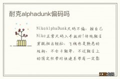 耐克alphadunk偏码吗