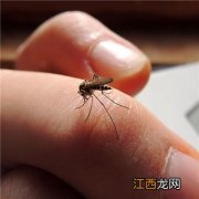 蚊子咬的疤怎么去