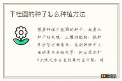 干桂圆的种子怎么种植方法