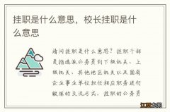 挂职是什么意思，校长挂职是什么意思