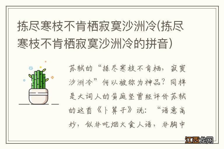 拣尽寒枝不肯栖寂寞沙洲冷的拼音 拣尽寒枝不肯栖寂寞沙洲冷