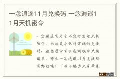 一念逍遥11月兑换码 一念逍遥11月天机密令