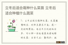 立冬后适合栽种什么菜苗 立冬后适合种植什么蔬菜