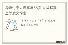 导演付宁去世享年55岁 肖战赵露思等发文悼念