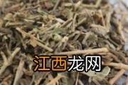 视力突然下降六大原因 秋季如何护眼