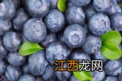 眼睛干涩疲劳喝什么茶好？眼睛干涩喝什么茶缓解？