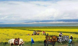 去青海旅游需要准备什么 去青海旅游需要准备的东西