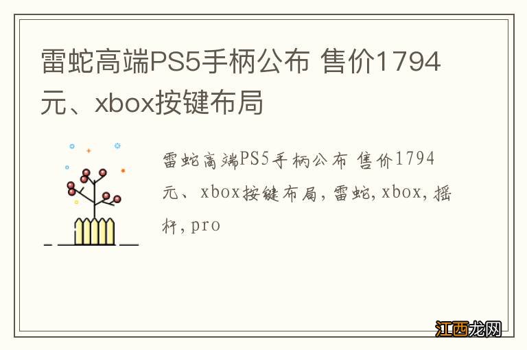 雷蛇高端PS5手柄公布 售价1794元、xbox按键布局