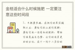 金桔适合什么时候施肥 一定要注意这些时间段