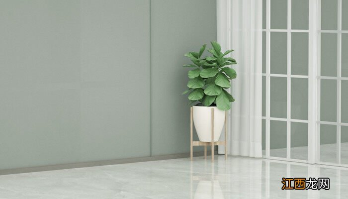 淘米水发酵后臭了还能浇花吗 淘米水可以浇哪些植物