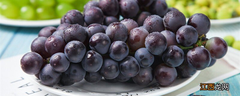 葡萄是什么季节成熟的水果 葡萄是什么季节成熟的