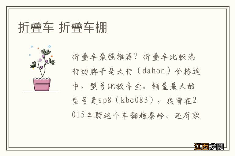 折叠车 折叠车棚