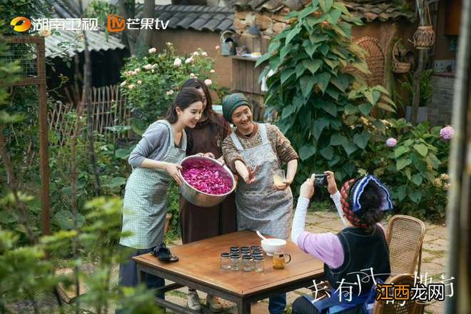 13天收视第一，31亿播放量，46个冠军，今年最被低估的国产剧！