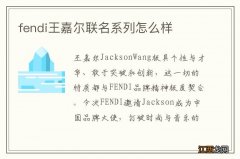 fendi王嘉尔联名系列怎么样