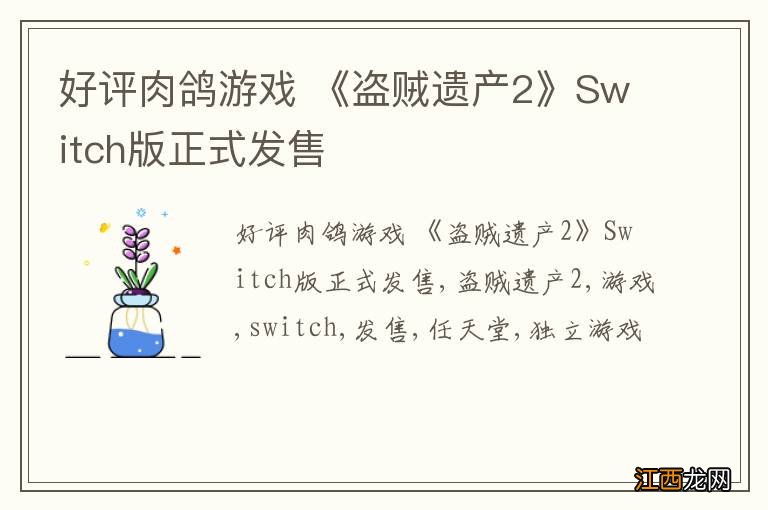 好评肉鸽游戏 《盗贼遗产2》Switch版正式发售