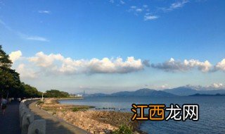 深圳湾公园哪个出口是海边 一出地铁站就看到海的公园