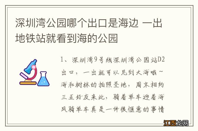 深圳湾公园哪个出口是海边 一出地铁站就看到海的公园