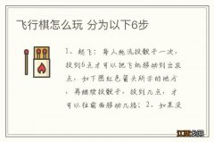 飞行棋怎么玩 分为以下6步