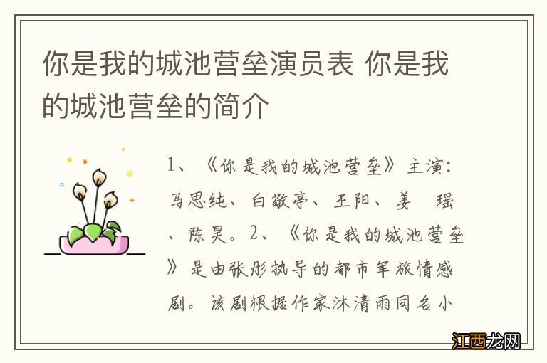 你是我的城池营垒演员表 你是我的城池营垒的简介