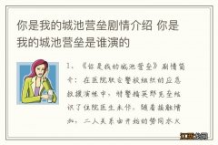 你是我的城池营垒剧情介绍 你是我的城池营垒是谁演的