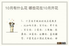 10月有什么花 哪些花在10月开花