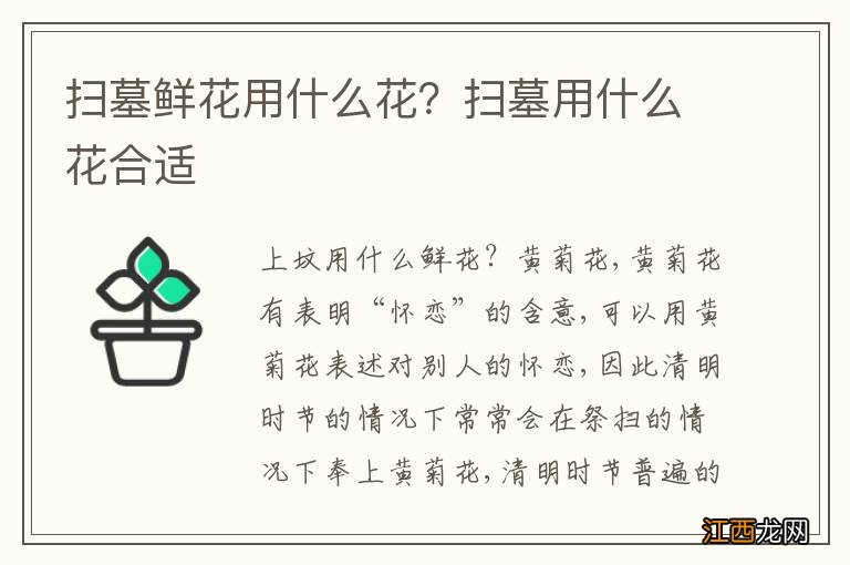 扫墓鲜花用什么花？扫墓用什么花合适