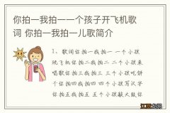 你拍一我拍一一个孩子开飞机歌词 你拍一我拍一儿歌简介