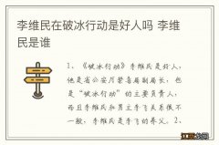 李维民在破冰行动是好人吗 李维民是谁